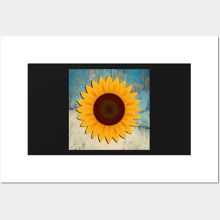 Sunflower on Teal & Cream Distressed Background Home Decor Gifts Posters and Art